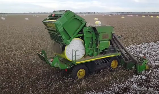 Du coton de PE enveloppant la longueur régulière d'adhérence de film peut être adapté aux besoins du client